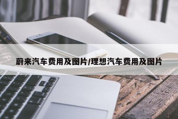 蔚来汽车费用及图片/理想汽车费用及图片