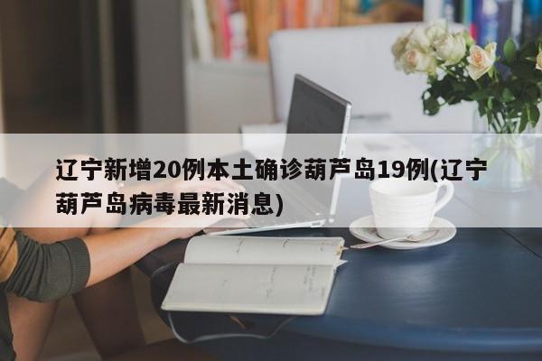 辽宁新增20例本土确诊葫芦岛19例(辽宁葫芦岛病毒最新消息)