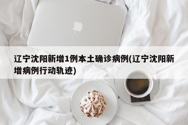 辽宁沈阳新增1例本土确诊病例(辽宁沈阳新增病例行动轨迹)